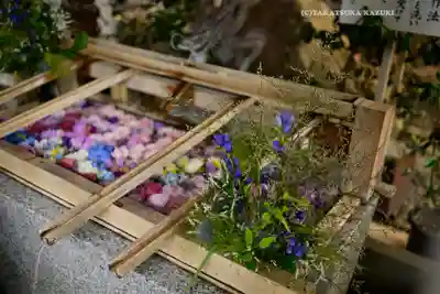 東京大神宮(東京都)