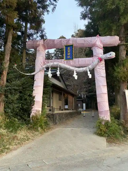 下野 星宮神社(栃木県)