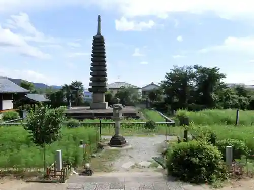 般若寺 ❁﻿コスモス寺❁の庭園