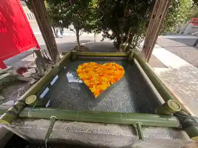 布施弁天 東海寺の{uncategorized: "未分類", other: "その他", undefined: "問題あり", building: "その他建物", grave: "お墓", sacred_gate: "鳥居", guardian: "狛犬", statue: "像", buddha: "仏像", history: "歴史", nature: "自然", garden: "庭園", animal: "動物", pagoda: "塔", temizu: "手水舎", mountain_gate: "山門・神門", sanctuary: "本殿・本堂", subordinate: "末社・摂社", art: "芸術", scenery: "景色", jizo: "地蔵", ema: "絵馬", goshuin: "御朱印", omikuji: "おみくじ", items: "授与品その他", amulet: "お守り", goshuincho: "御朱印帳", eats: "食事", festival: "お祭り", votive_dance: "神楽", shichigosan: "七五三参", wedding: "結婚式", experience: "体験その他", initially: "初詣", around: "周辺", anti_infection: "感染症対策"}