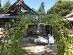 下総国三山　二宮神社の自然