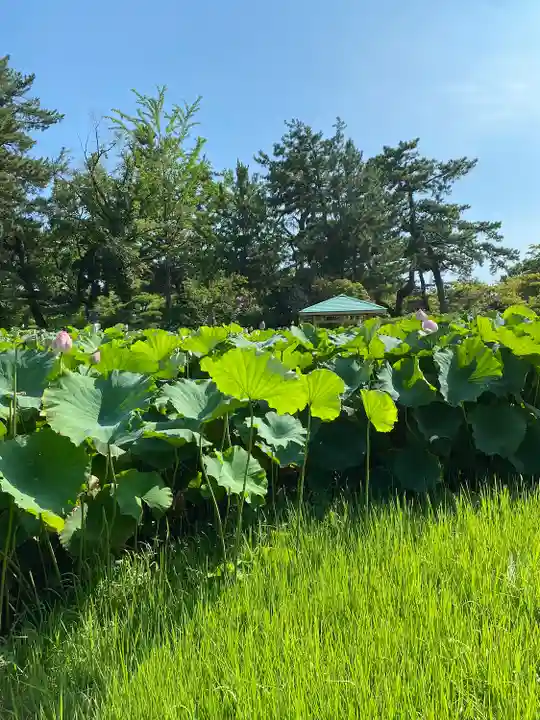白山神社(新潟県)