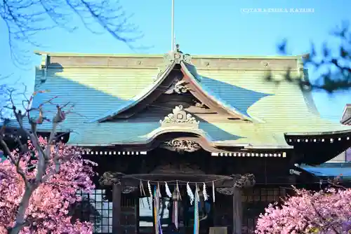 桜神宮(東京都)