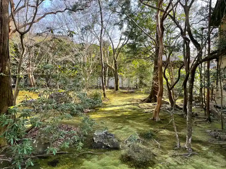 蓮華寺(洛北蓮華寺)の庭園