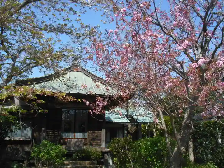 極楽寺(霊鷲山感應院極楽律寺)の自然