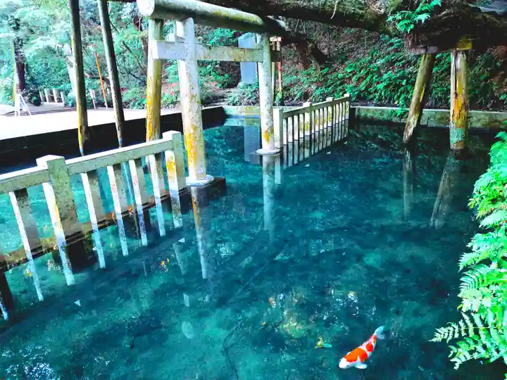 鹿島神宮(茨城県)