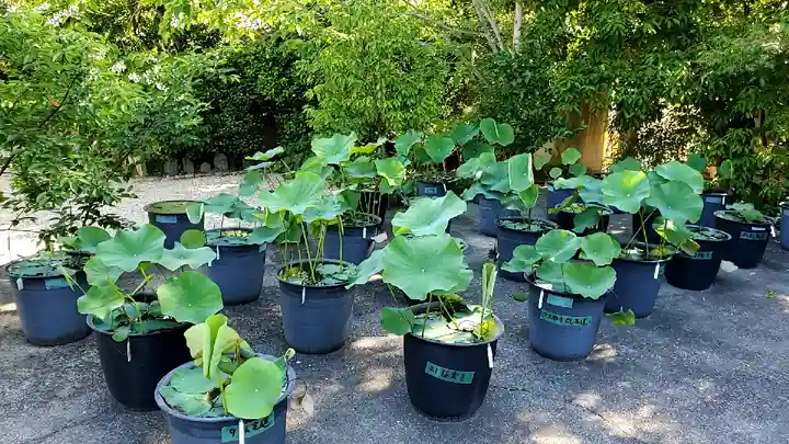 元興寺(奈良県)