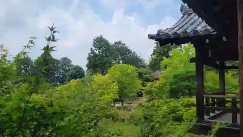 東福禅寺（東福寺）の庭園
