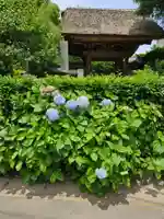 極楽寺(霊鷲山感應院極楽律寺)の庭園