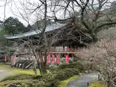 醍醐寺(京都府)