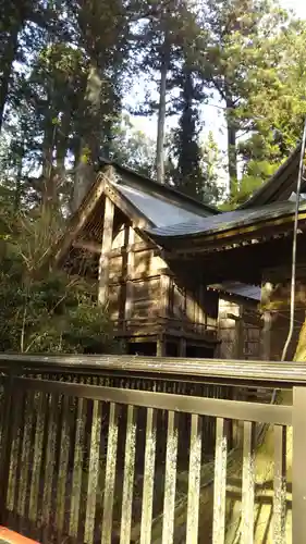 近津神社の本殿・本堂