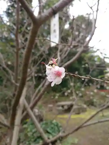 葛原岡神社の自然
