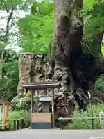 來宮神社(静岡県)