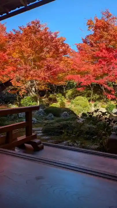 源光庵(京都府)