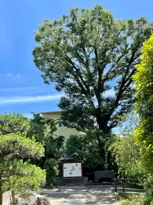 留魂祠（西郷隆盛碑）(東京都)