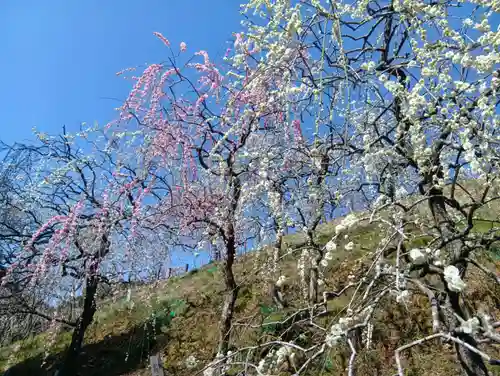 大縣神社(愛知県)