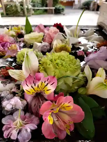 鳩森八幡神社の手水舎