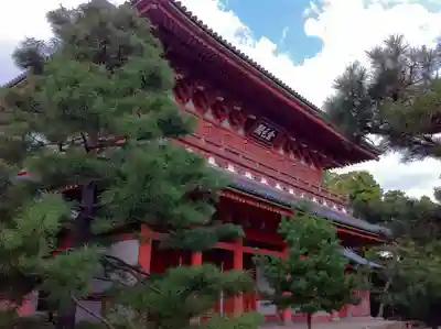 大徳寺のその他建物