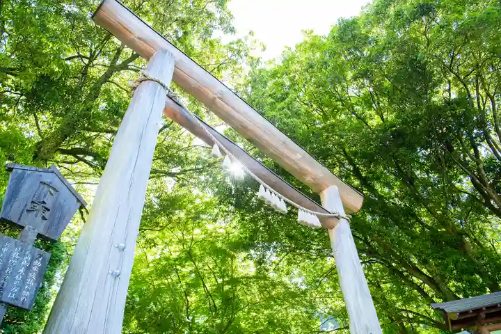 天岩戸神社(宮崎県)