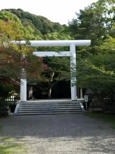 安房神社の鳥居