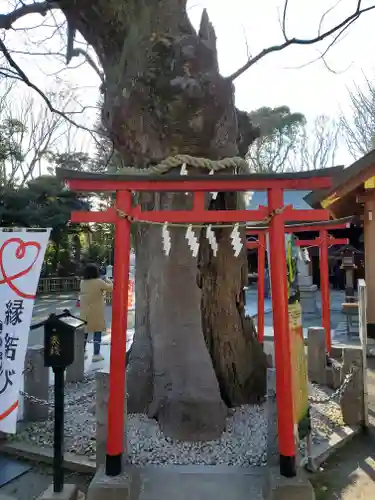 新田神社の鳥居