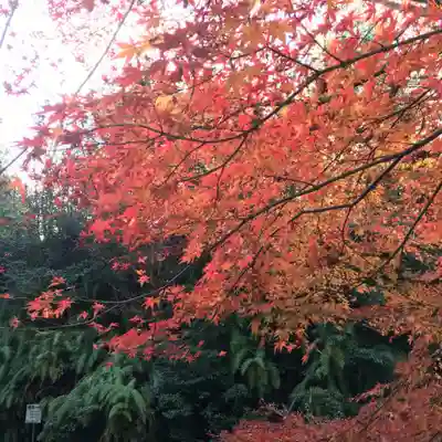 清水寺(京都府)