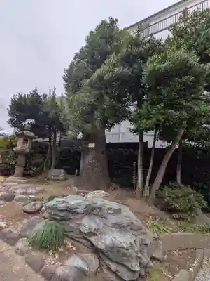 善仁寺(東京都)