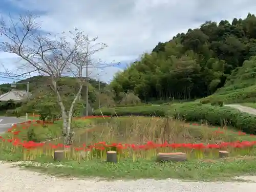 八幡神社の庭園