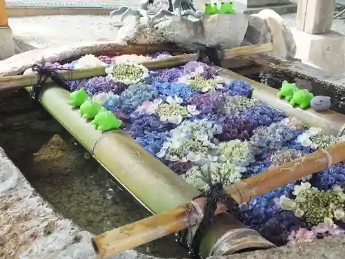 立志神社(滋賀県)