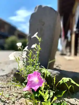 白鳥神社(長野県)