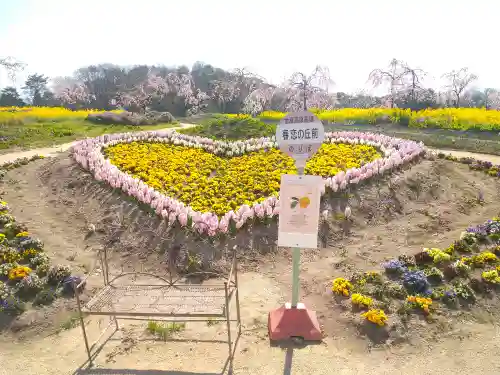 巳徳神社の周辺