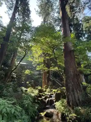 最乗寺（道了尊）(神奈川県)