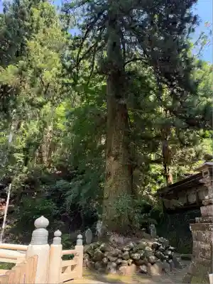 最乗寺（道了尊）(神奈川県)