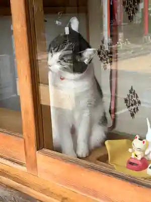上中居諏訪神社(群馬県)