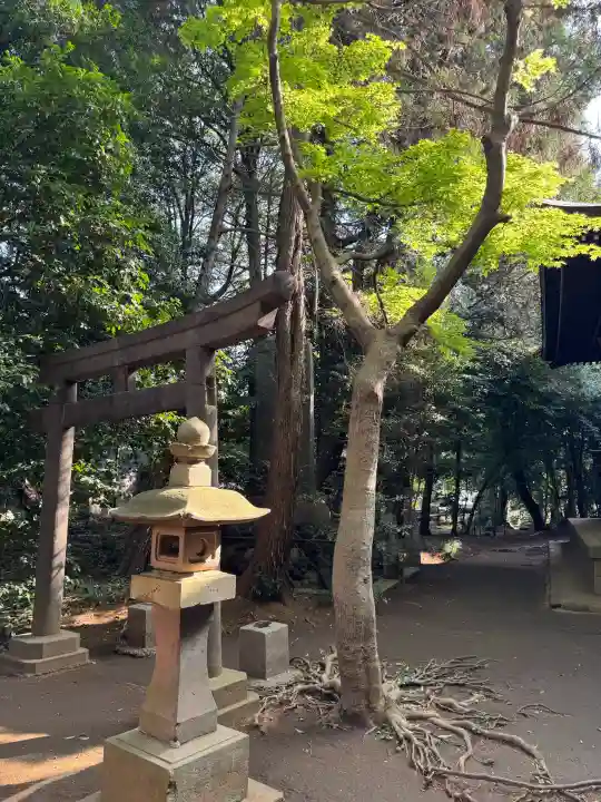 土支田八幡宮の{uncategorized: "未分類", other: "その他", undefined: "問題あり", building: "その他建物", grave: "お墓", sacred_gate: "鳥居", guardian: "狛犬", statue: "像", buddha: "仏像", history: "歴史", nature: "自然", garden: "庭園", animal: "動物", pagoda: "塔", temizu: "手水舎", mountain_gate: "山門・神門", sanctuary: "本殿・本堂", subordinate: "末社・摂社", art: "芸術", scenery: "景色", jizo: "地蔵", ema: "絵馬", goshuin: "御朱印", omikuji: "おみくじ", items: "授与品その他", amulet: "お守り", goshuincho: "御朱印帳", eats: "食事", festival: "お祭り", votive_dance: "神楽", shichigosan: "七五三参", wedding: "結婚式", experience: "体験その他", initially: "初詣", around: "周辺", anti_infection: "感染症対策"}