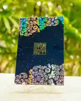 諫早神社(九州総守護 四面宮)の御朱印