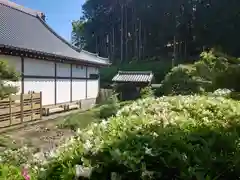 豊泉寺(埼玉県)