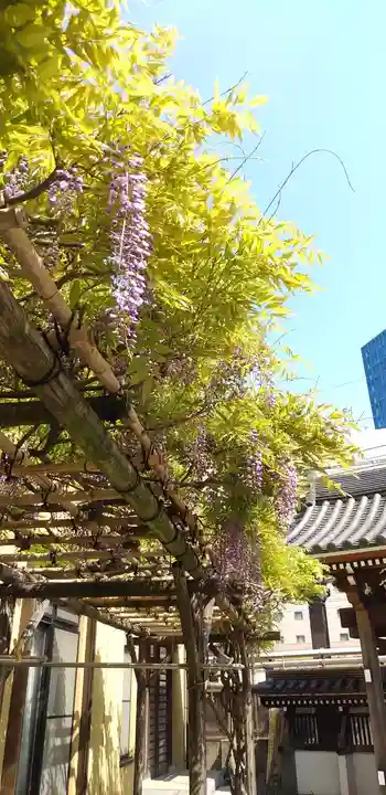圓珠寺の庭園