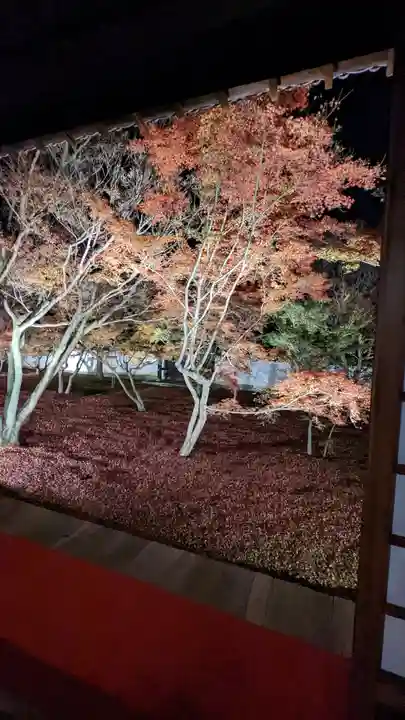 妙覺寺(妙覚寺)(京都府)