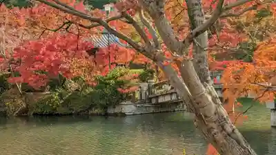 禅林寺(永観堂)(京都府)