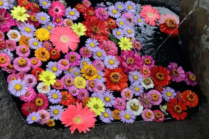 大鏑神社の手水舎