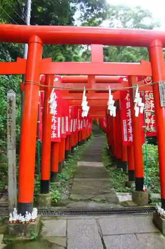 佐助稲荷神社の鳥居