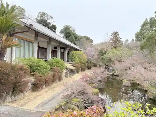 真龍寺(大阪府)
