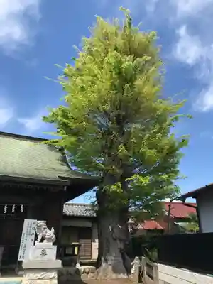 神明神社(東京都)