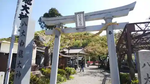 八大白龍大神の鳥居