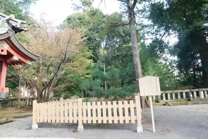 伊豆山神社の自然