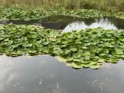 石貫神社(宮崎県)