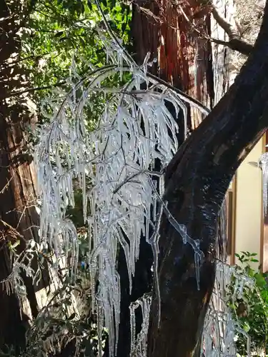 大前神社(栃木県)