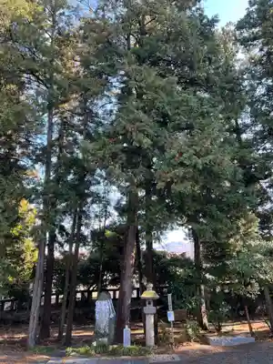 甲斐國一宮 浅間神社のその他建物