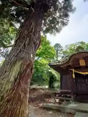 八幡白山神社(福島県)